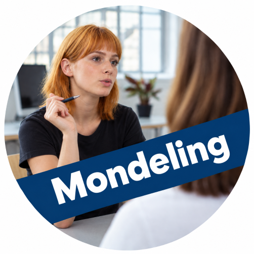 SE2 mondelingen examenklassen