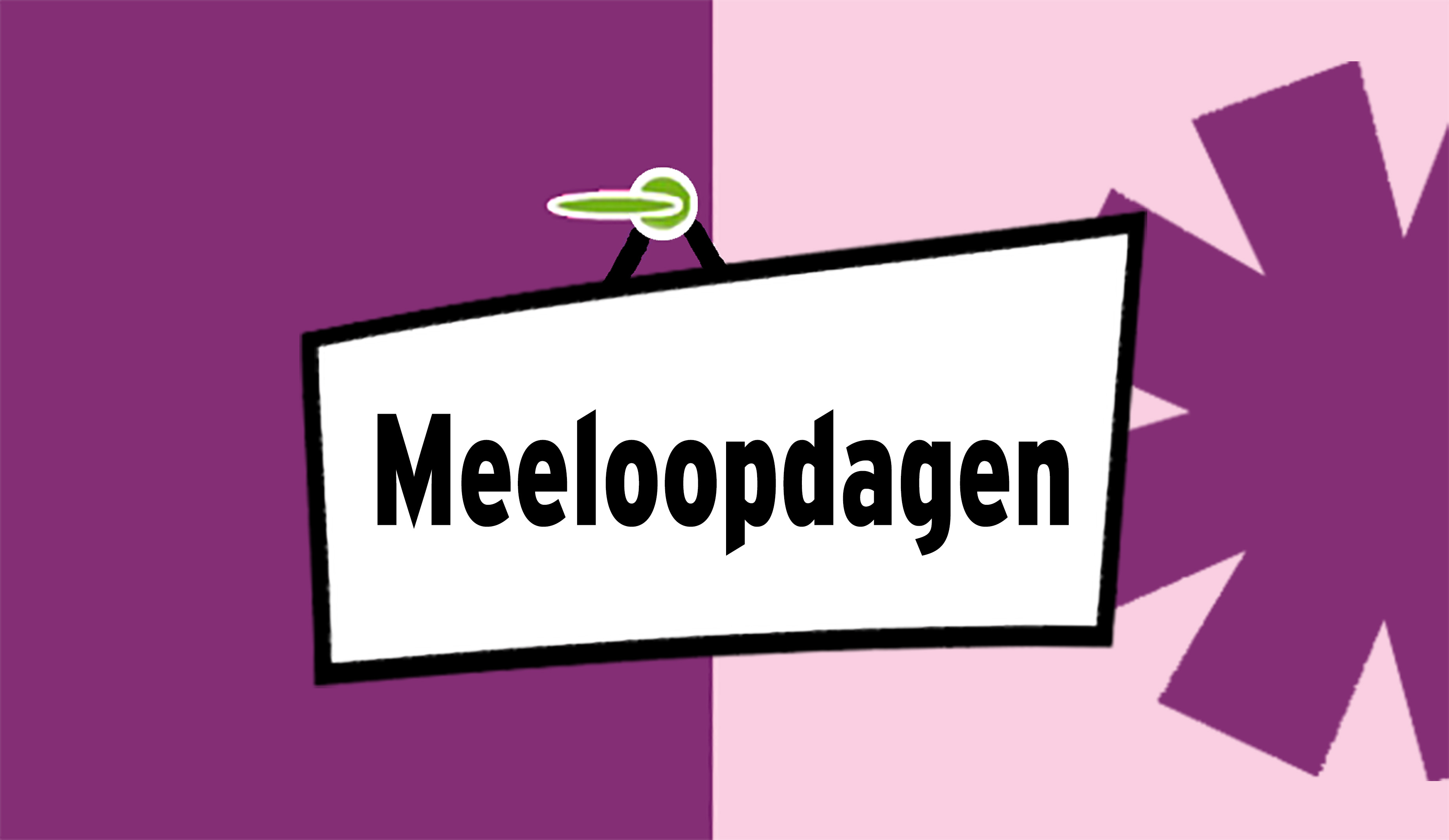 Meeloopmiddag 3